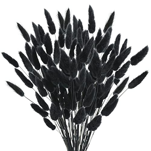 Uieke 17’’ Natural Bunny Tails Dried Flowers, 120 Pcs Dried Lagurus Ovatus, Dried Black Pampas Grass Decor for Farmhouse Flower Arrangements Wedding Home Craft Boho Party Halloween Decorations - color: Black-120pcs