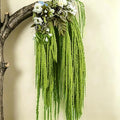 5Pcs Dried Amaranthus Hanging Flowers, 53" Neon Green Preserved Natural Wisteria for Wedding Arch, Table Centerpiece, Wall Hanging Lover Tears, Floral Arrangement (Green) - color: Green