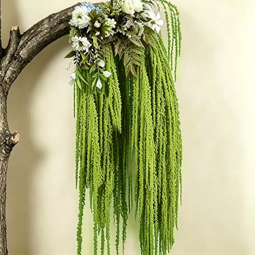 5Pcs Dried Amaranthus Hanging Flowers, 53" Neon Green Preserved Natural Wisteria for Wedding Arch, Table Centerpiece, Wall Hanging Lover Tears, Floral Arrangement (Green) - color: Green
