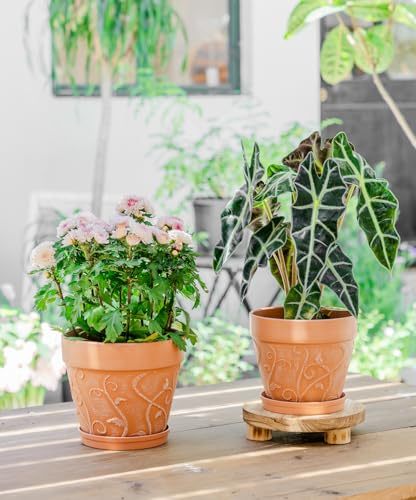 Melphoe Plant Pots Indoor with Drainage & Saucer, 2Pack 7/8 inch Flower Pots Outdoor Planters for Indoor Plants Garden Home Decor Cactus Succulent, Rigid Plastic (Imitation-Terracotta) Vine-Embossed - color: Terracotta Color, size: 7''+8"