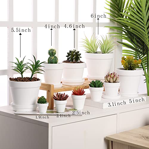 Terra Cotta Pots with Saucer- 6-Pack Large Terracotta Pot Clay Pots 5.5'' Clay Ceramic Pottery Planter Cactus Flower Pots Succulent Pot with Drainage Hole- for Plants,Crafts terra cotta planter(White) - color: White