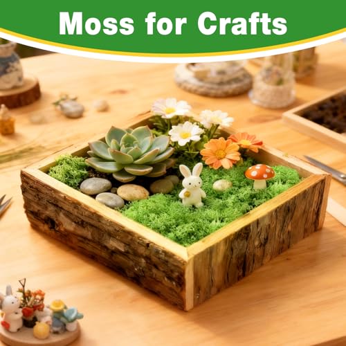 Halatool Preserved Moss for Crafts, Green Reindeer Moss for DIY Decorating Art Potted Fairy Garden Accessories Table Centerpieces Wedding Christmas Fairy Party Decor(1.1 LB)