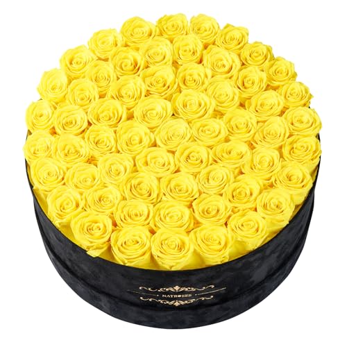 Gifts for Women – NATROSES 60 Preserved Roses in Luxury Black Velvet Box, Preserved Flowers for Delivery Gift for Her, Elegant Rose for Birthday, Mother’s Day, Christmas (Yellow) - color: Yellow, size: 60 Roses