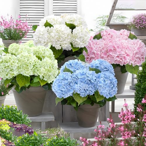 Waipfaru 21" Real Touch Blue Hydrangea Artificial Flowers with Long Stem & Leaves, Full Latex Faux Hydrangea Flowers for Home Decor Party Floral Arrangements Wedding Bouquets Centerpieces, 3Pcs - color: Blue, size: 3pcs