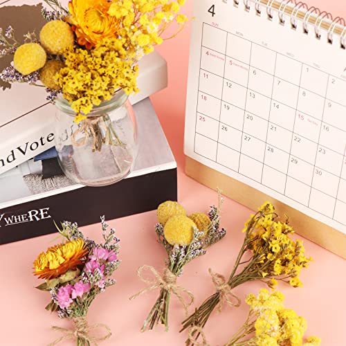 8 Pcs Mini Gypsophila Bouquets Natural Gypsophila Yellow Dried Flowers Bouquet Dry Flower&Leaves Daisy Dried Embossing Flower Bundles Plant Stem Bunch for DIY Craft,Photo Props,Wedding Card Decoration - color: Type6