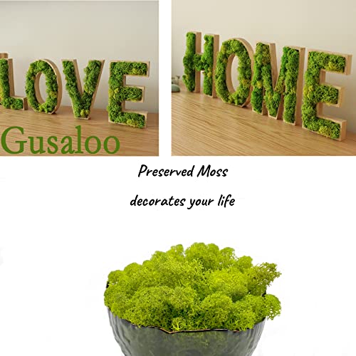 Moss Preserved Artificial Moss for Potted Plants Natural Fresh Green Moss for Craft Arts Project Wall Decor Table Fake Moss Wedding Centerpieces Garden Terrariums Decoration Chartreuse 3.5OZ - color: Chartreuse, size: 3.5oz