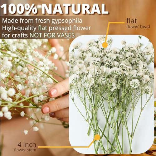 90Pcs Mini Dried Pressed Baby's Breath Flowers Bulk - Natural Flat Real White Gypsophila Baby Breath, Pressed Flowers for Resin, Frame Art, Scrapbooking, Wedding Invitation