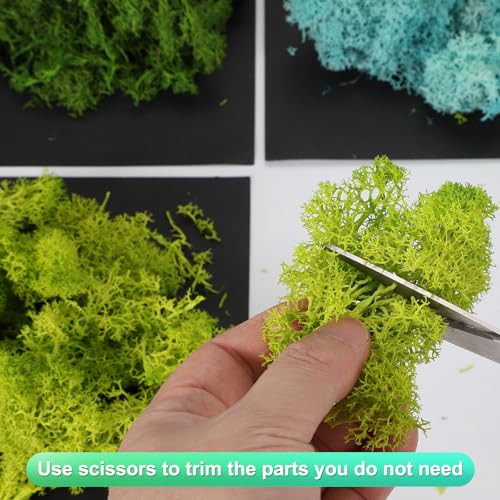 uxcell Preserved Reindeer Moss, 14oz Fake Moss for Crafts Artificial Dried Moss for Decoration Terrariums Potted Plants, Light Green/Dark Green/Green/Chartreuse - color: Light Green/Dark Green/Green/Chartreuse, size: 14oz