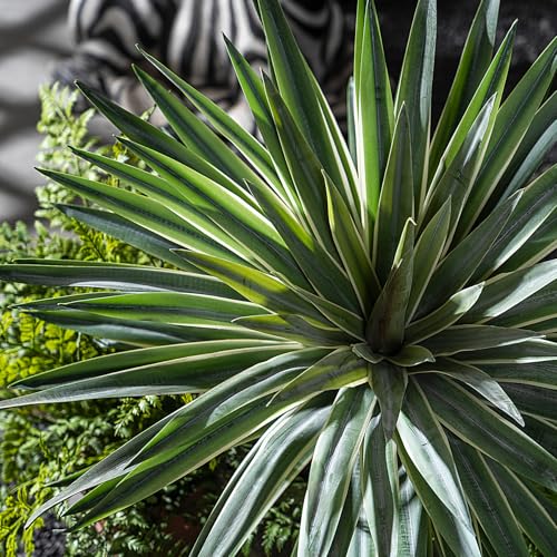 Artificial Agave Plant Fake Agave Planters for Indoor Outdoor Faux Agave Plants Real Touch Realistic Greenery for Home Living Room Office Bathroom Garden Front Porch Patio Decor (16inch-2 Pcs White) - size: 16inch-2 Pcs White