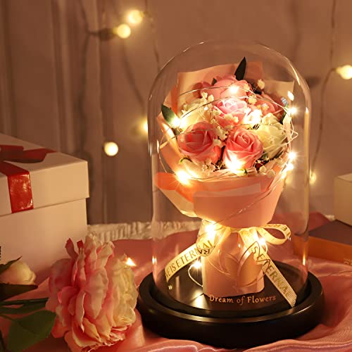 Mothers Day Rose Gifts, Flower Gifts for Women,Rose in Glass Dome with 2 Light Modes,Light Up Rose Flowers,Valentines Anniversary Birthday Gifts for Women, Mom, Wife, Girlfriend - color: Romantic Rose
