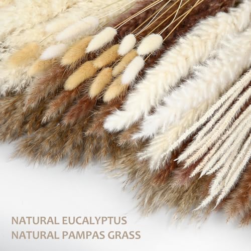 480 Stems Dried Pampas Grass Decor-Bulk Pampas Grass,Bunny Tail,Reed,Fluffy Pompas Grass.Boho Flower Bouquets for Wedding,Spring,Table Vase,Farmhouse Decor,Living Room,Beach,Apartment and Boho Decor - size: 480 Pcs