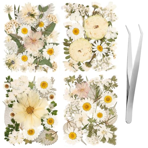 100pcs White and Light Yellow Dried Pressed Flowers Bulk, Natural Fall Pressed Dried Flowers with Tweezer for DIY Crafts Resin Mold Candles Cake Bridal Scrapbooking Supplies - size: White Flower