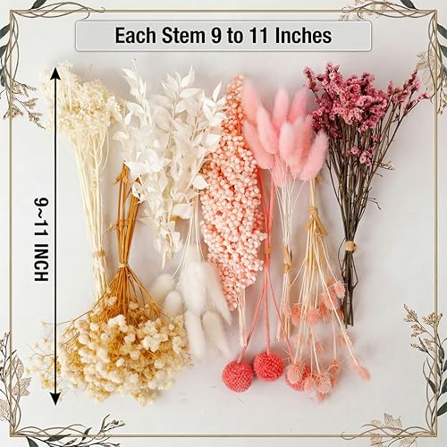 LUXEEASE DIY Boho Dried Flowers Bouquet 141 Stems, 9 Kinds Natural Preserved Flowers (Pink/White) Mini Dried Flower Arrangements for Home Wedding Centerpiece - color: Blush & Cream