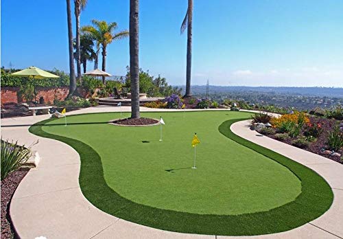 Pro Putting Green Golf Artificial Grass Turf - Indoor Outdoor Golf Training Mat, Synthetic Fake Grass for Baseball Football Gym Sports - size: 10FTX43FT
