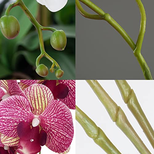 FagusHome 81.3 cm künstliche Phalaenopsis-Blumen, 4 Stück mit 2 Bündeln, Orchideenblumen, Stielpflanzen, Schmetterlinge, Phalaenopsis, Party, Dekoration, Purple Dapple (FH100083) - color: Purple Dapple