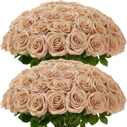 50pcs Beige Roses Artificial Flowers Bulk Fake Roses Silk Flower with Stems Realistic Flowers for Wedding Centerpiece Party Birthday Decor - color: 50pcs Beige