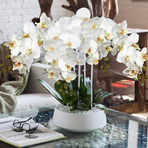 DILATATA Blooming Phalaenopsis Orchid Artificial 31.5" Long Stem with 9 Large Orchids Flowers Artificial Flowers for Decoration Home Arrangement-White Green Orchid 2 Pcs - color: White Green #20