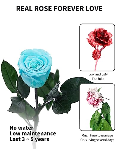 Sky Blue Flowers for Delivery Prime, Preserved Blue Roses Flower Gifts for Women, Real Roses Single Rose Gifts for Her, Mom Birthday Gifts from Daughter, Valentines Flowers - color: 10-sky Blue