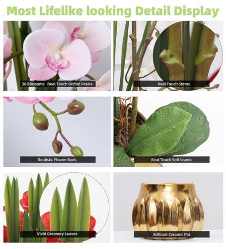 CXGS Artificial Orchid Flower Real Touch Faux Orchids in Ceramic Vase Large 22.9'' Fake Flowers Pink Phalaenopsis Floral for Home Indoor Decor - color: Pink- Golden (Large Pot)