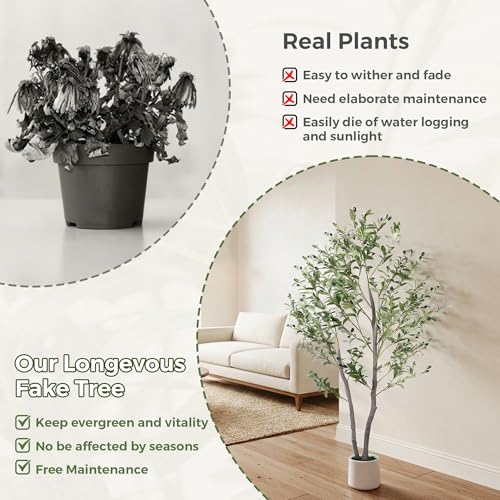 Jocoevol Olive Tree Artificial Indoor 5FT，Tall Faux Olive Tree with White Planter，Realistic Artificial Olive Tree Indoor with Natural Trunk and Lifelike Fruits for Home Office Living Room - size: 5ft