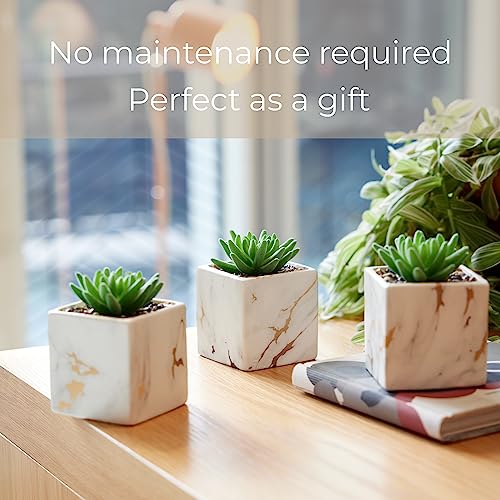 Nordik Square Marble Pots with Gold Vein Accents - Set of 3 - Modern Office and Home Decor - Lifelike Faux Plants - Artificial Desk Plants for Office and Bathroom - Mini Indoor Cactus - color: White Gold