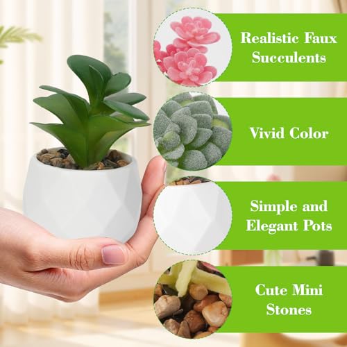Artificial Succulents, Set of 6, White Plastic Pots | Small Fake Desk Plants, Realistic Succulent Plants, For Shelf Bedroom Balcony Windowsills Office Room Decor