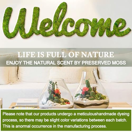 Preserved Reindeer Moss, 17.6 oz Green Decorative Craft Moss for Potted Plants, Fairy Gardens, DIY Wall Art, Floral Arrangements, Christmas Easter Wedding Holiday Decor - color: Green, size: 17.6 OZ