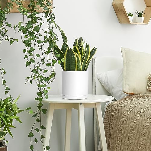 D'vine Dev 2 Pack 6.5 Inch Modern Plastic Plant Pots, Small Garden Planters for Plant with Drainage Holes and Saucers, White Color, 74-Z-L-1 - size: 6.5"