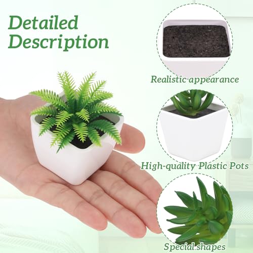 Woration 6pcs Realistic Fake Succulents Plants Potted Decoration Small Artificial Succulent Faux Greenery Model Set for Wedding Holiday Shelves Bathroom Indoor Decor - color: 6pcs White