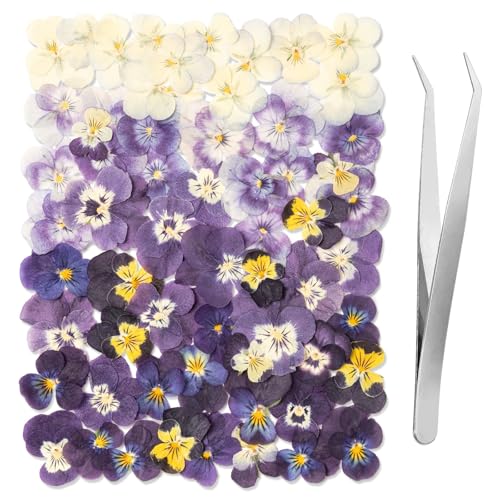 60Pcs Dried Pressed Pansies Flowers for Cake Decorating, Purple Real Dry Flower for Resin Art Crafts Jewelry Decorations - size: Purple