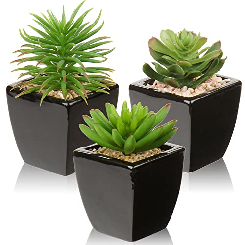 Hollyone Small Succulents Artificial 3 Pcs Faux Succulents in Pots Fake Succulent Plants with Black Ceramic Pots for Modern Home Office Desk Bathroom Shelf Living Room Decor - color: 3pack - Black Ceramic