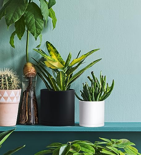 D'vine Dev 2 Pack 4.5 Inch Modern Plastic Plant Pots, Small Garden Planters for Plant with Drainage Holes and Saucers, White Color, 74-Z-F-1 - size: 4.5"