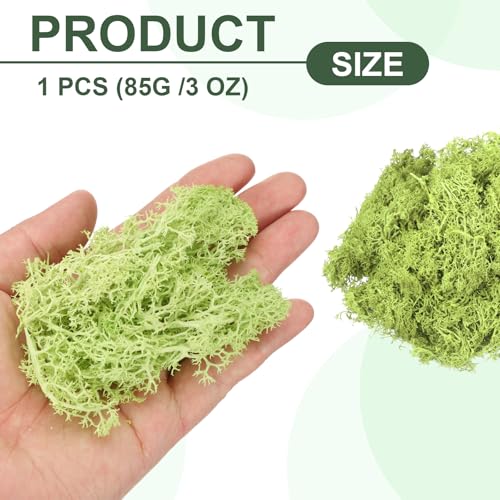MECCANIXITY 3oz Preserved Reindeer Moss, Bright Green Decorative Artificial Fake Moss for Potted Plants Indoor Crafts Lichen Centerpieces Decor - color: Bright Green, size: 3oz