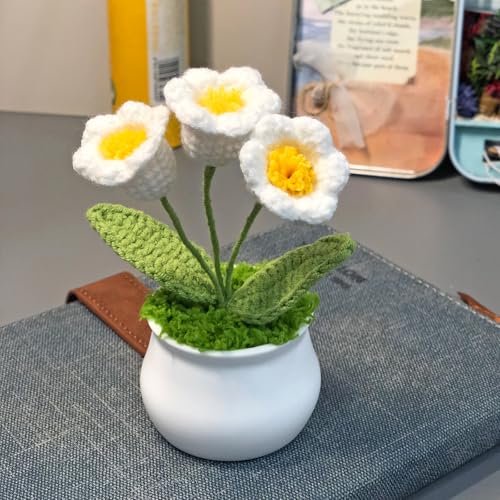 Joekaran Crochet Flowers Cute Little Potted Flower, Gift for Birthday, Teacher’s Day, Graduation, Anniversary, Christmas, Decor for Car Dashboard,Home Office Decoration (White Lily of the Valley) - color: White Lily of the Valley