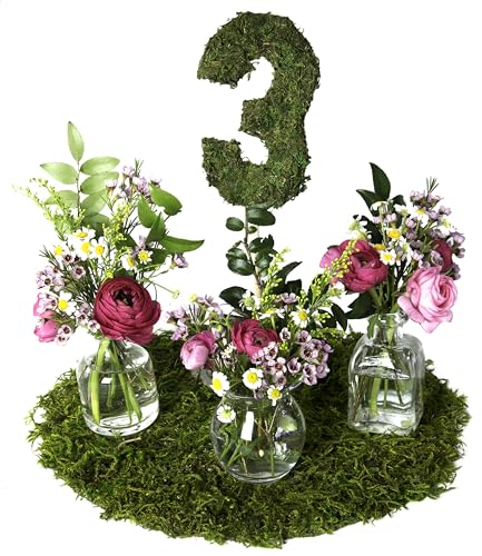 SuperMoss (26280) Mossy Placemat, Fairy Garden Table Wedding Decor Preserved Forest Moss, 12 in Round