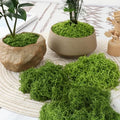 100g Dark Cyan Artificial Green Moss Lawn Plant Landscape - color: Blue1