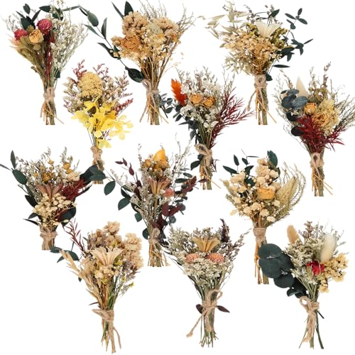 Layhit 12 Pcs Boho Dried Flower Bouquet Mini Wedding Handmade Dry Flowers Decor for Vase Crafts DIY Photo Boutonniere for Men Floral Plant for Bridesmaid Gift Birthday Decor(Bright) - style: Bright