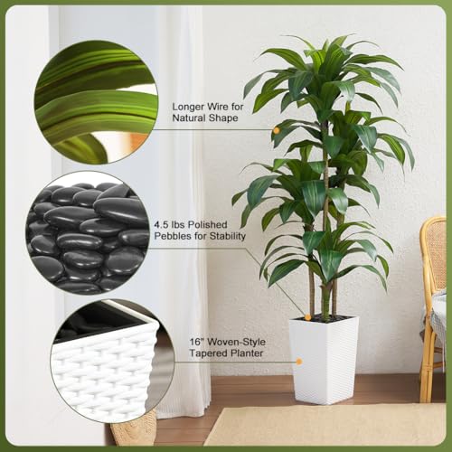 VeriNatural 6FT Artificial Dracaena Tree - UV Resistant Faux Tropical Plant, Potted Fake Tree with Taper Planter & Pebbles - Indoor Outdoor Greenery for Home, Porch, Living Room, Bedroom Decor, VN127 - color: White, size: 6ft