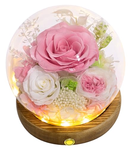 Valley of Rain & Forest Long-Lasting Real Flowers, Unique Floral Gift For you to send Love for All Occasions, for Indoor Decoration (Pink Rose & White Roses Arrangement) - color: Pink Rose, White Rose