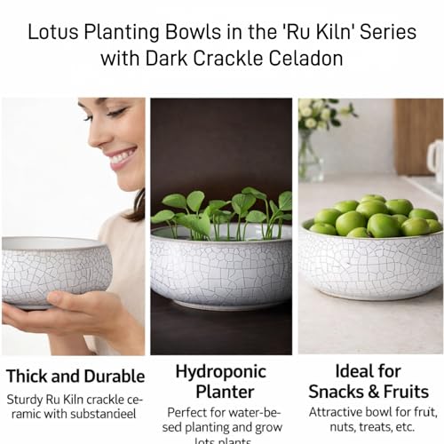 2 Pack Lotus Bowl Planter, Large 7.5'' & Small 6'' Shallow Lotus Pots for Water Planting, Drainage-Free Ceramic Hydroponic Bowl for Lotus Seeds, Ikebana, Succulents & Water Lilies (Kiln Split) - color: Kiln Split