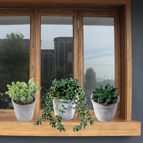 COTSEN 3 Pcs Artificial Succulents Potted Plants Assorted Fake Succulents Potted for Family Office Garden Interior Decor