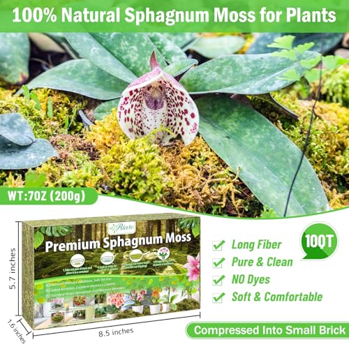 Riare 7OZ Premium Sphagnum Moss for Plants- 10QT Natural Dried Plant Moss for Potted Plants, Orchid Moss for Repotting, Soft Green Decorative Moss for Succulents, Reptiles & DIY Crafts - color: 10 QT(Appx.7oz)