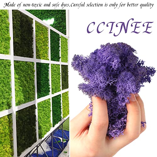 CCINEE Moss Preserved, 4 OZ Fake Reindeer Moss for Potted Plants for Craft Arts Floral Wall Decor Wedding Centerpieces Fairy Garden Artificial Terrariums Decoration for Christmas(Purple) - color: Purple