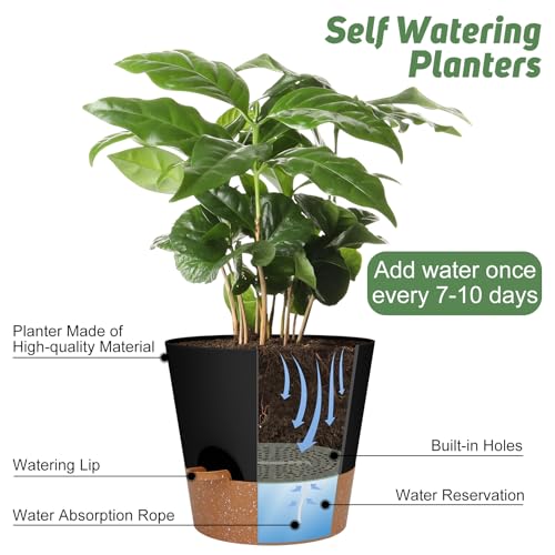YNNICO 10-Inch Plant Pots, Self-Watering Planters with Drainage Holes & Saucers for Indoor and Outdoor Plants (2-Pack, Black) - color: Black, size: 10 inch