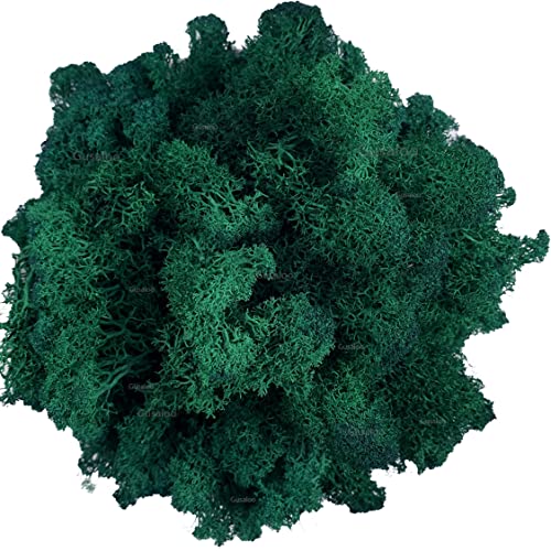 Moss Preserved Artificial Moss Natural Fresh Green Moss for Craft Arts Floral Project Wall Decor Table Decor Wedding Centerpieces Garden Terrariums Decoration -Dark Green 3.5OZ - color: Darkgreen, size: 3.5oz