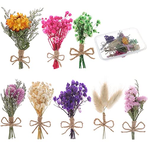 WWahuayuan 8 Pcs Mini Gypsophila Daisy Dried Flowers Bouquets for DIY Craft, Home & Wedding Decor - color: Type2