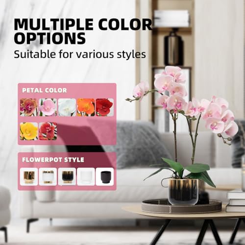 CXGS Orchids Artificial Flowers Real Touch Fake Flowers in Ceramic Pot 20" Pink Faux Orchid Plant Lifelike Silk Phalaenopsis for Centerpiece Hotel Home Indoor Decor - color: Pink- Black Gold Vase