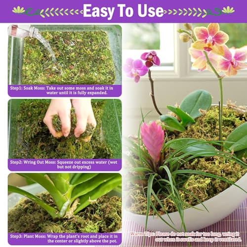 Riare 3.3LBS Premium Sphagnum Moss for Plants- 60QT Natural Dried Plant Moss for Potted Plants, Orchid Moss for Repotting, Soft Green Decorative Moss for Succulents, Reptiles & DIY Crafts - color: 60 QT(Appx.3.3lbs)