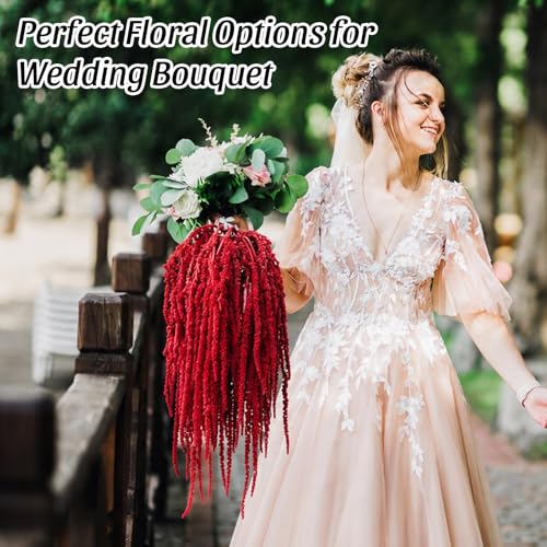 Suncalla Bright Red Spring Natural Dried Amaranthus Hanging Flowers Amaranthus Artificial Flowers for Wedding Arch Bouquet Floral Garland Wall Home Decoration (23 Inch,12 Pcs) - color: Bright Red
