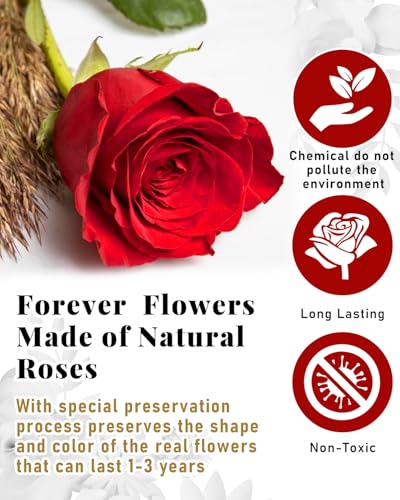 Changshunqi 16 Flowers Forever Preserved Roses in Heart Box, Preserved Flowers for Delivery Birthday Gifts Women Anniversary Forever Flowers for Mothers Gift Real Rose Forever Gifts for Women Mom Wife - color: Rose Red